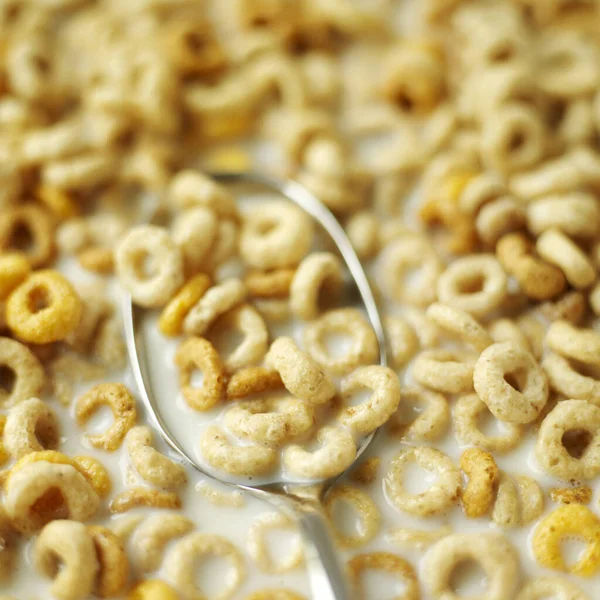 Primer Plano Cereales Desayuno — Foto de Stock