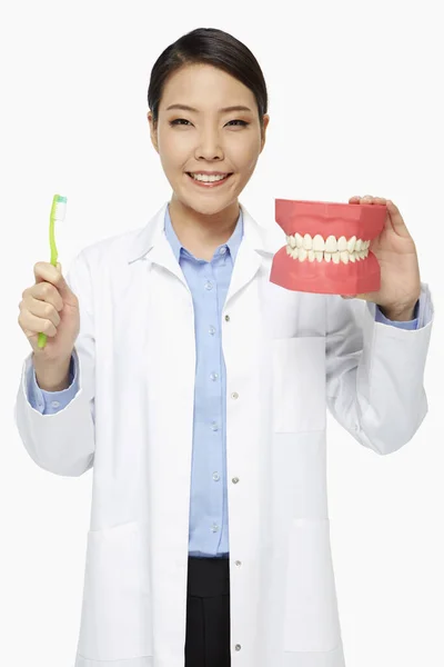 Pessoal Médico Segurando Uma Escova Dentes Conjunto Dentaduras — Fotografia de Stock