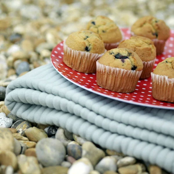A tray of muffins on a folded picnic blanket
