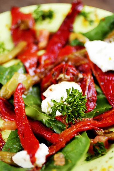 Getrocknete Tomaten Und Paprika Salat — Stockfoto