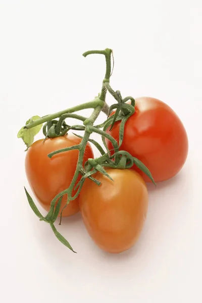 Świeże Pomidory Izolowane Białym — Zdjęcie stockowe