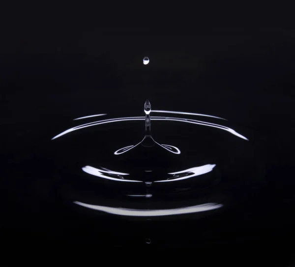 Drop of water and water ripple