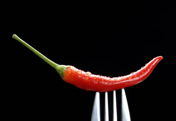 Röd Chili Gaffel — Stockfoto