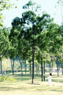 Beyaz gömlekli ve pantolonlu yaşlı bir kadın parkta tek başına duruyor.