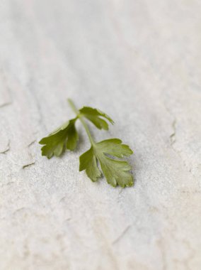 Düz yapraklı maydanozu kapat.