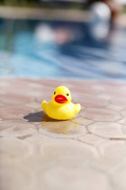 Oyuncak ördek yüzme havuzunun yanında