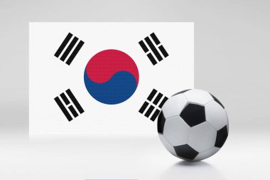 Bir futbol topuyla Güney Kore bayrağı