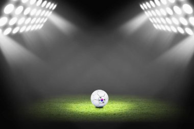 Güney Kore futbol sahasında.