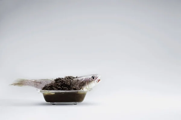 흙으로 물고기 — 스톡 사진
