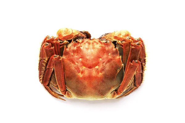 Aproape Crab Fundal Alb — Fotografie, imagine de stoc