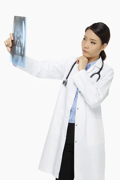 Tıbbi Personel Röntgen Filmini Kontrol Ediyor — Stok fotoğraf