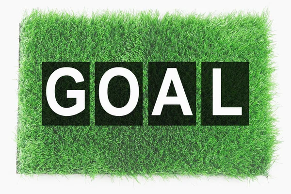 Goal Text Grass — Stock Photo, Image