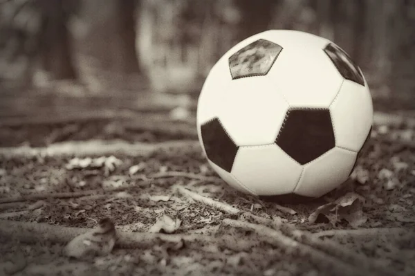 Bola Futebol Chão — Fotografia de Stock