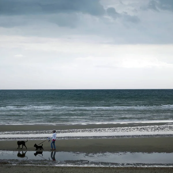 Donna Spasso Suo Cane Lungo Spiaggia — Foto Stock