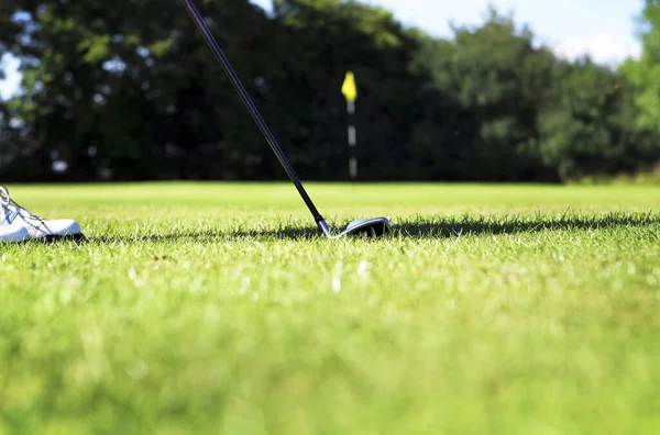 Golf Sopası Deliğe Golf Topu Sokuyor — Stok fotoğraf
