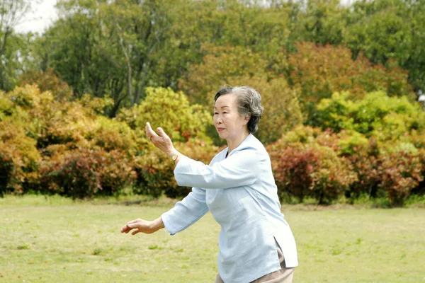 Parkta Tai Chi Yapan Yaşlı Bir Kadın — Stok fotoğraf