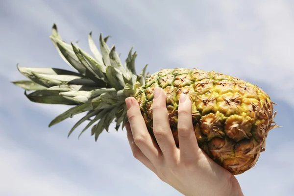 Mano Della Donna Che Tiene Ananas — Foto Stock