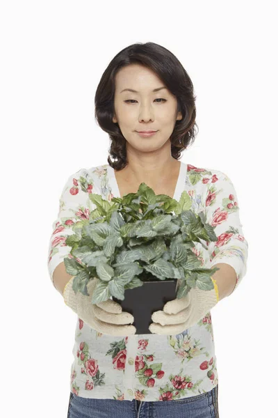 Femme Tenant Une Plante Pot — Photo