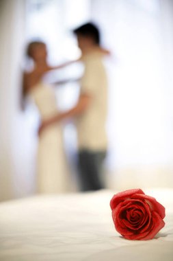 Arka planda sarılan çift kırmızı bir gül üzerinde yoğunlaşıyor.