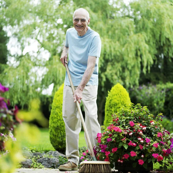 Homem Sênior Raking Folhas Jardim — Fotografia de Stock