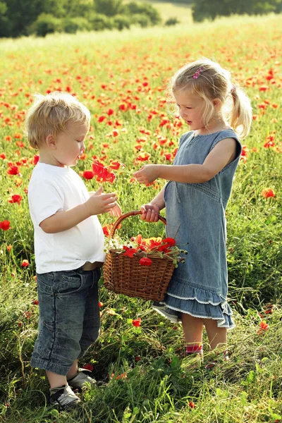小さな女の子の男の子に花を与える — ストック写真