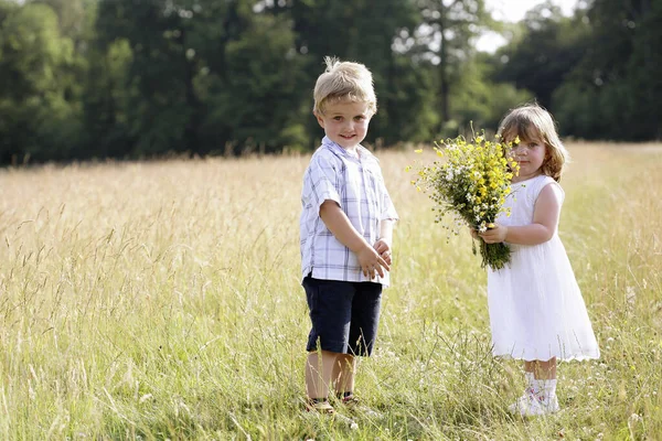 フィールド内の男の子と女の子 — ストック写真