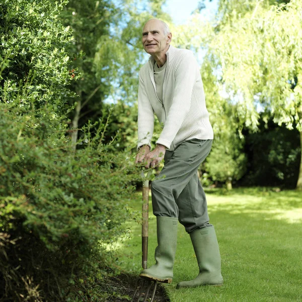 Homem Sênior Pisando Garfo Jardinagem — Fotografia de Stock