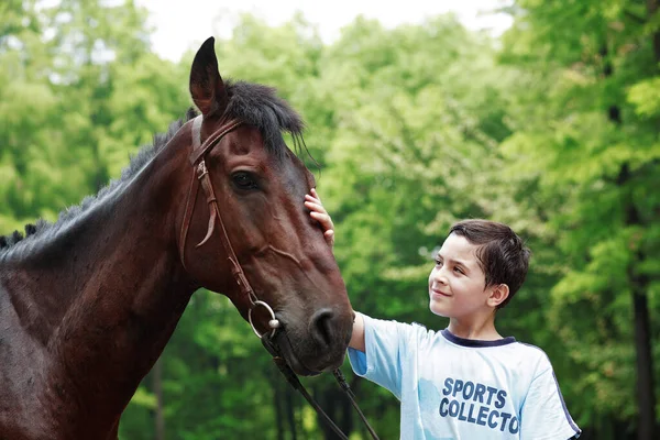 Jongen Paard Natuur — Stockfoto