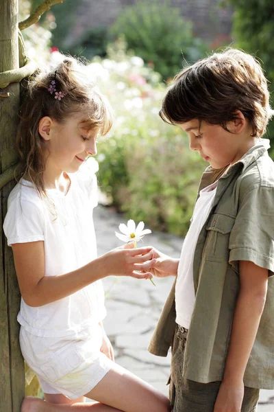 女の子に花を贈る男の子 — ストック写真