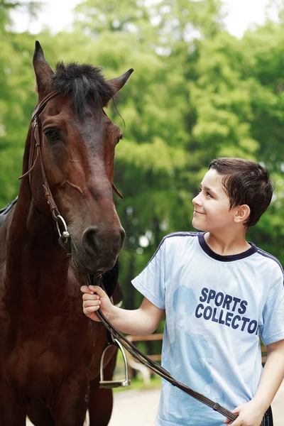 Jongen Met Paard Natuur — Stockfoto