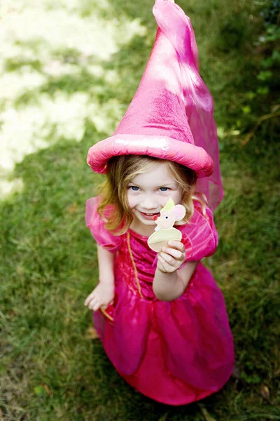 Fille Dans Costume Princesse Rose — Photo