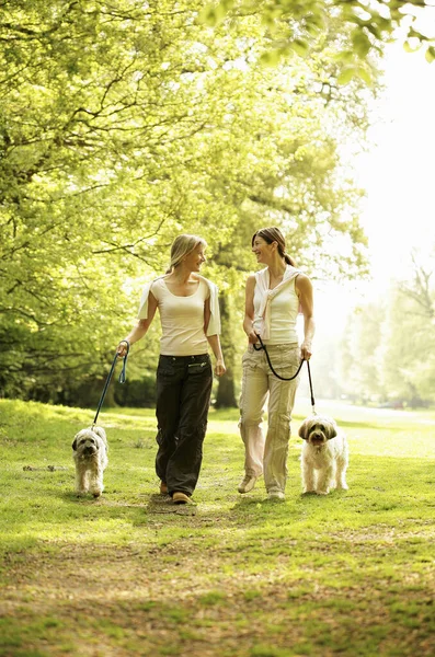 Kvinnor Och Deras Hundar Promenader Tar Promenad Parken — Stockfoto