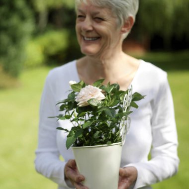 Büyük hanım elinde bir saksı gül tutuyor.