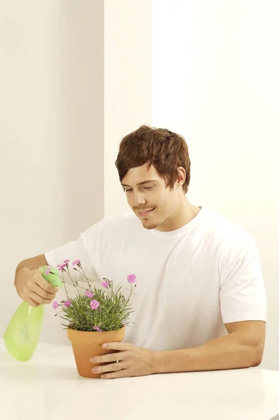 Homem Pulverizando Uma Flor Vaso — Fotografia de Stock