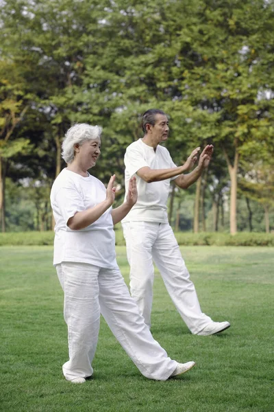 Casal Sênior Praticando Tai Chi Parque — Fotografia de Stock