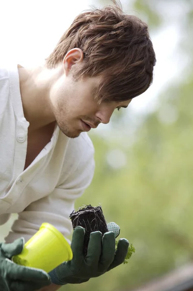 Homem Plantando Jardim — Fotografia de Stock