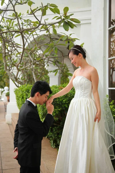 Sposo Che Tiene Mano Della Sposa — Foto Stock