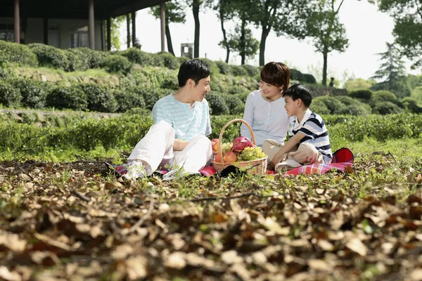 Ragazzo Genitori Che Fanno Picnic Nel Parco — Foto Stock