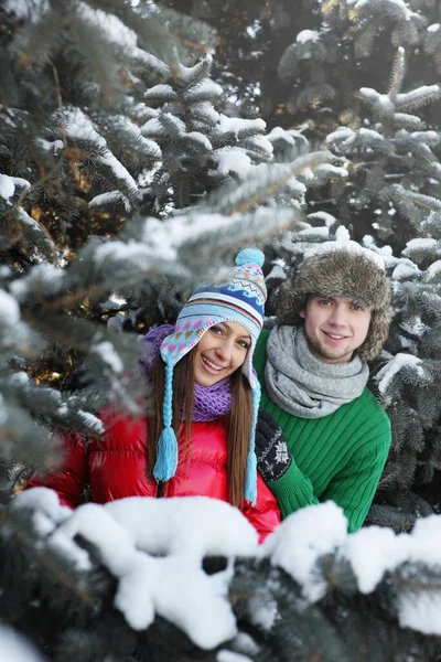 Homem Mulher Entre Árvores Cobertas Neve — Fotografia de Stock