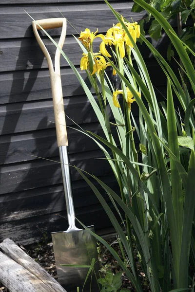 Espada Cabo Longo Encostada Parede Com Flores Lado — Fotografia de Stock