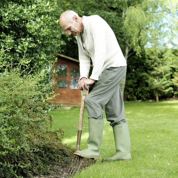 Senior Man Doing Yard Work Stock Image