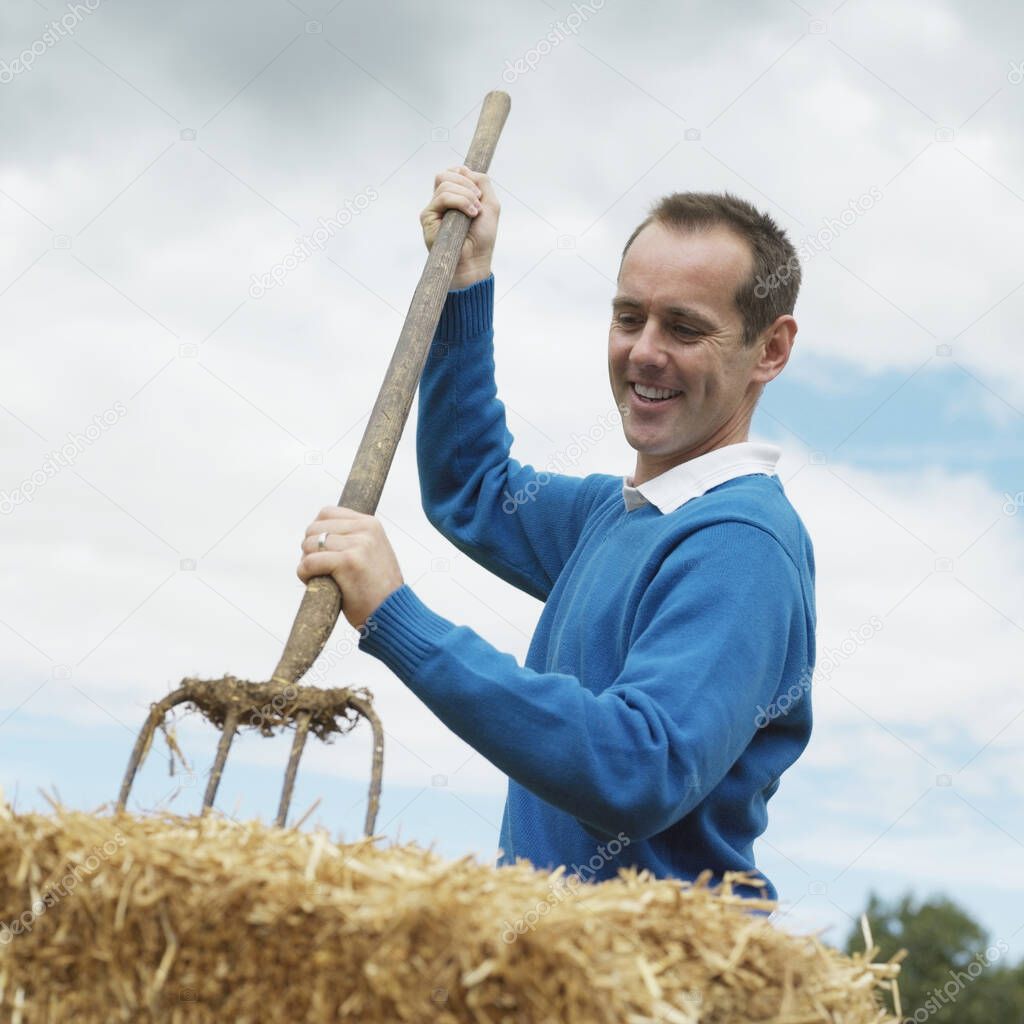 Man pitching hay in the farm