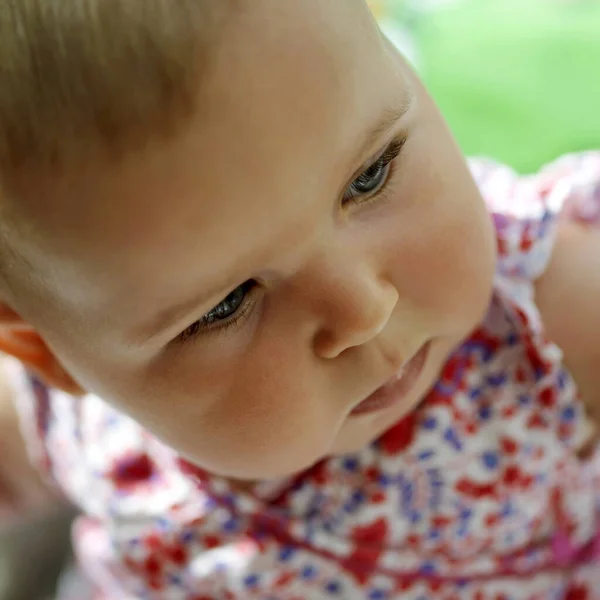 Vista Alto Angolo Una Bambina Paffuta — Foto Stock