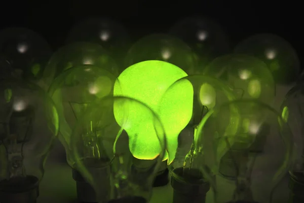 Green light bulb among other light bulbs