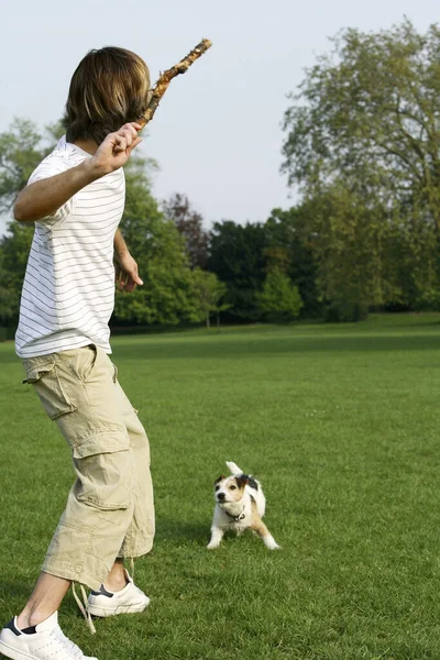 Ember Játszik Kutyájával Parkban — Stock Fotó