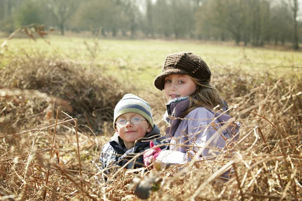 Syskon Bunt Torkade Blad — Stockfoto