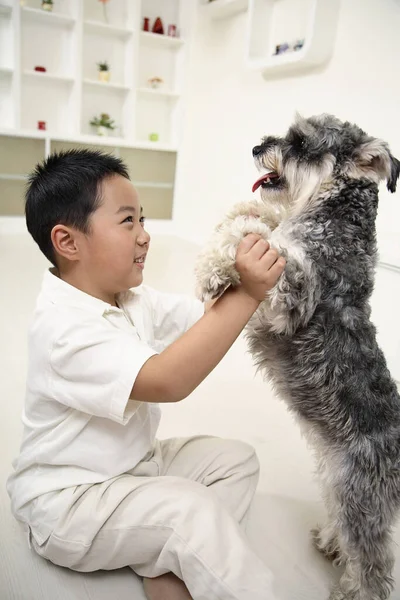 犬と遊ぶ男の子 — ストック写真