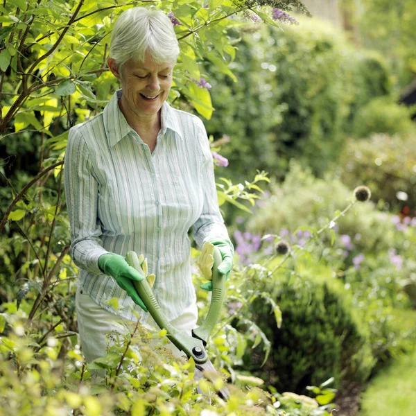 Dame Aînée Faisant Des Travaux Jardin — Photo