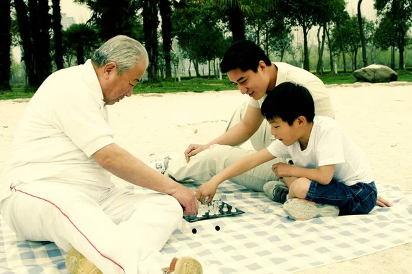 Chlapec Hraje Šachy Svým Dědečkem Břehu Jezera Zatímco Jeho Otec — Stock fotografie
