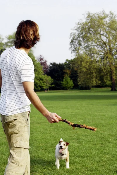 公園で犬と遊ぶ男 — ストック写真